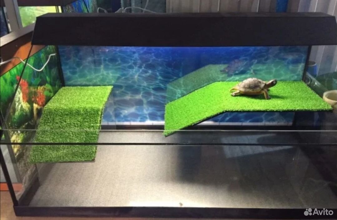 Где Можно Купить Аквариум Для Черепахи