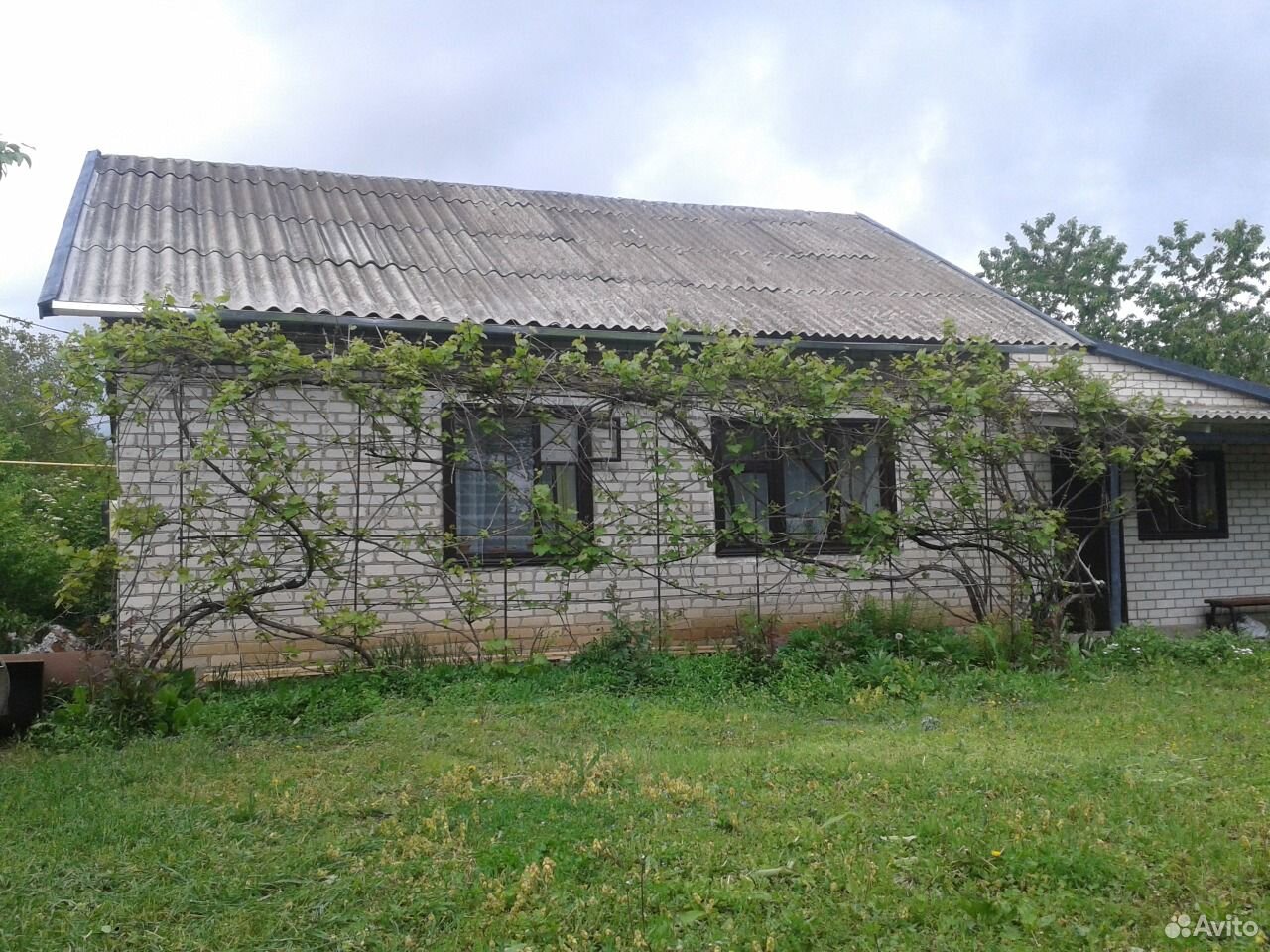 Гофицкое краснодарский. Село Гофицкое поля.