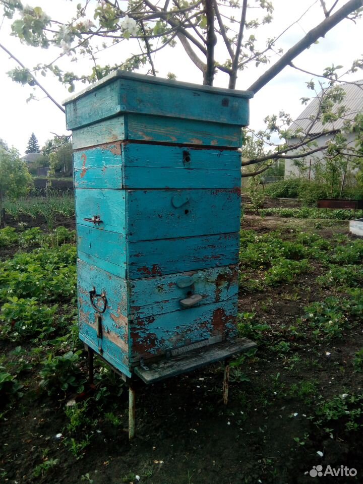Улей для пчёл + сушь купить на Зозу.ру - фотография № 1