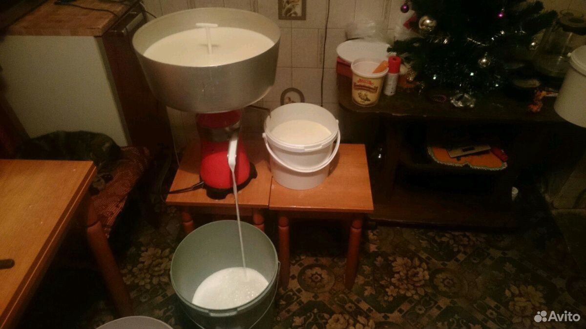 Домашняя молочная продукция купить на Зозу.ру - фотография № 2