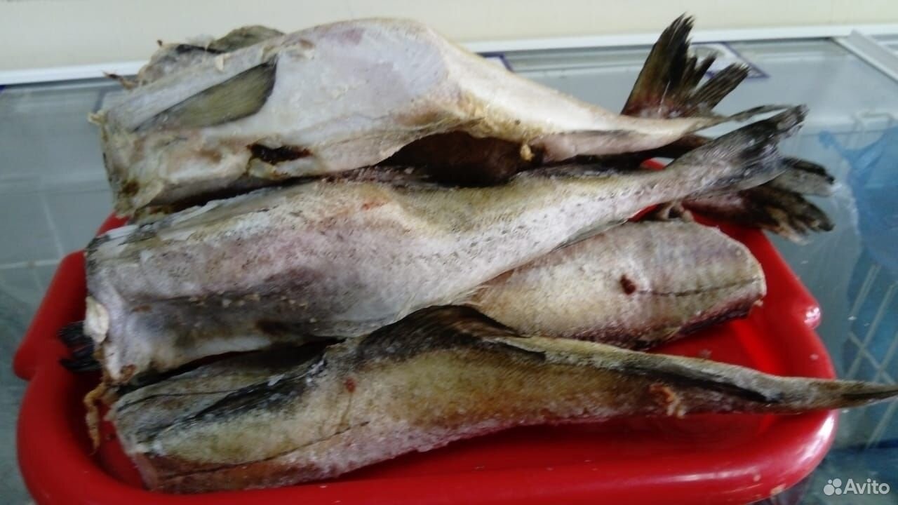 Раки,живая и мороженная рыба купить на Зозу.ру - фотография № 4