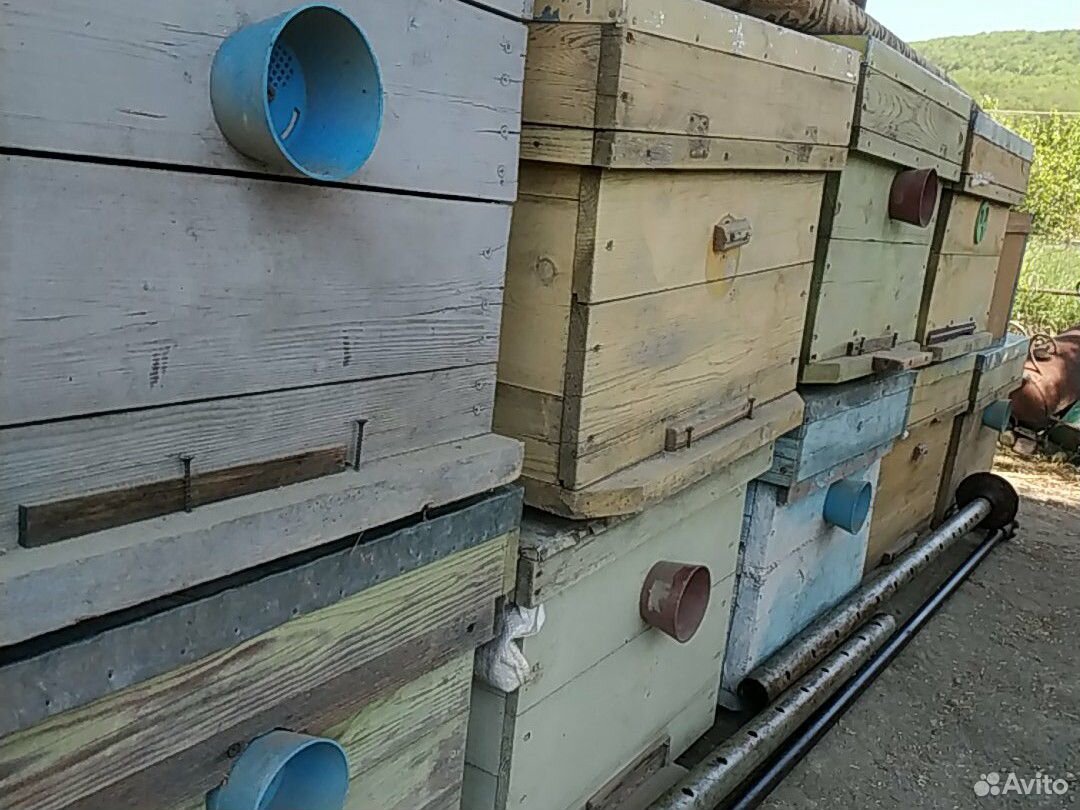 Ящики для пчёл купить на Зозу.ру - фотография № 3
