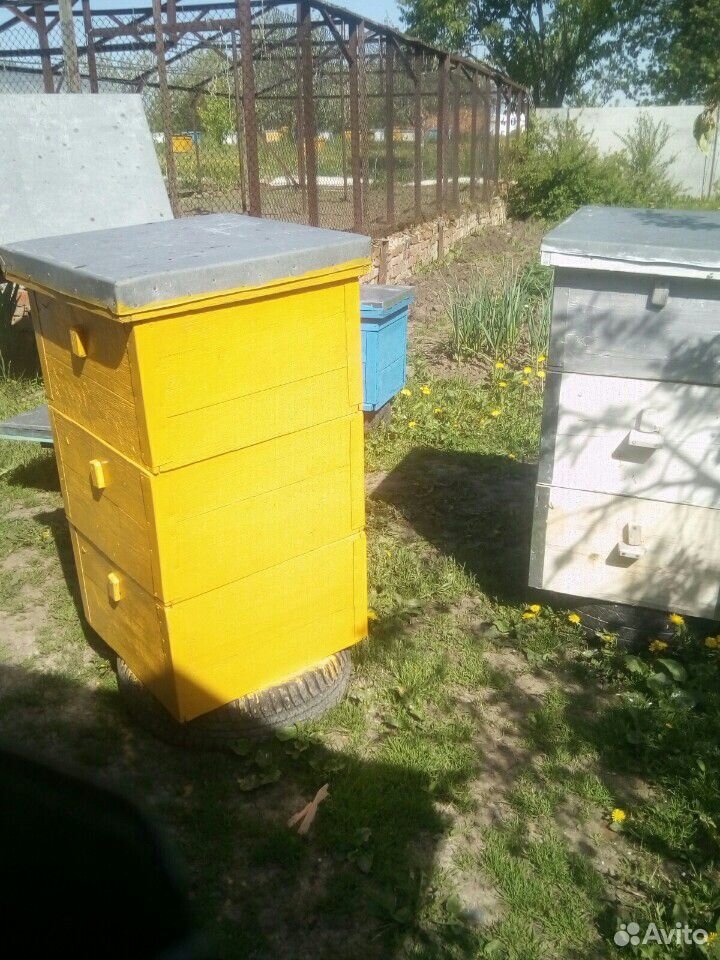 Улья пчелинные купить на Зозу.ру - фотография № 1