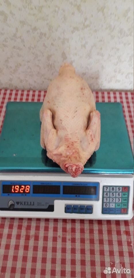 Мясо домашних кур купить на Зозу.ру - фотография № 3