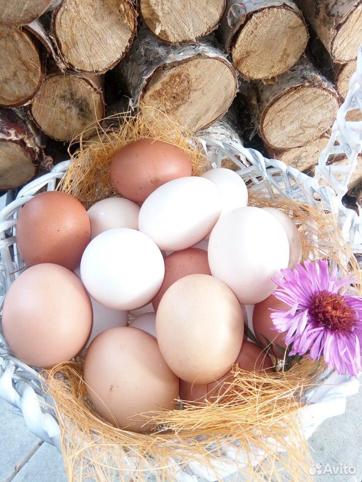 Яйца купить на Зозу.ру - фотография № 9