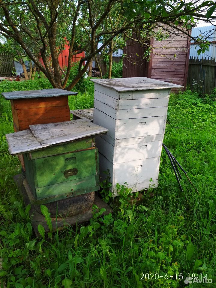 Пчелиные ульи б/у купить на Зозу.ру - фотография № 4
