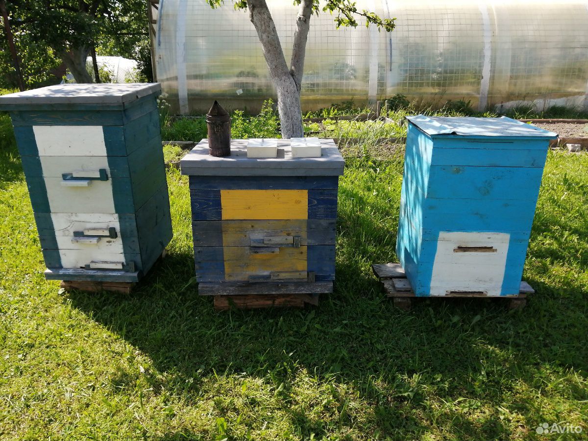 Медогонка+домики для пчел купить на Зозу.ру - фотография № 3