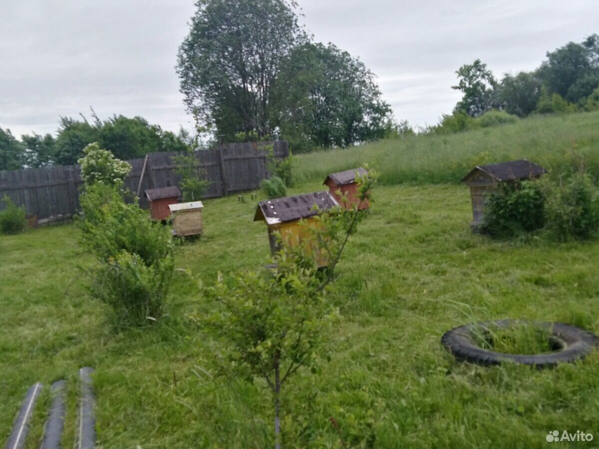 Инвентарь для пчеловодства купить на Зозу.ру - фотография № 3