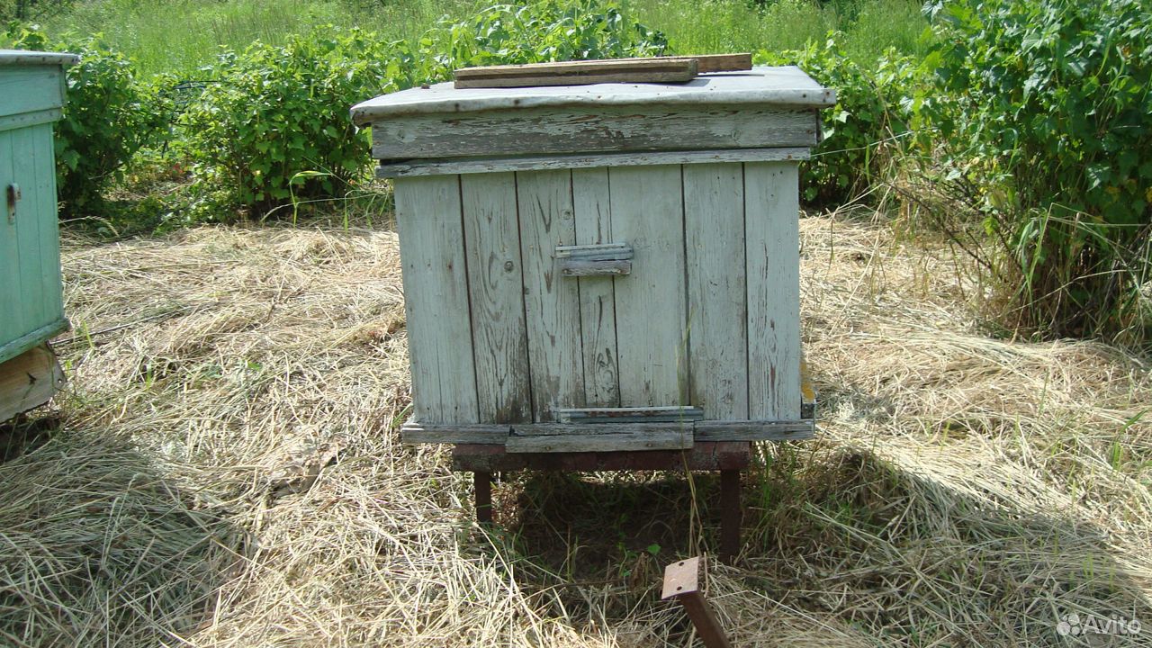 Пчелиные ульи купить на Зозу.ру - фотография № 3