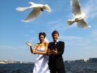 Свадебные голуби объявление продам