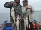 Рыбалка и охота в Астрахани в дельте Волги объявление продам