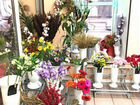Цветочный магазин со средней прибылью 300 тыс р объявление продам