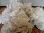 Собачья шерсть от чау-чау объявление продам
