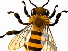 Пчелосемьи (пчелопакеты)
