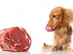 Мясо для корма животным