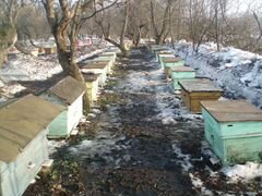 Пчелоинвентрась, пасека, пчелопродукция