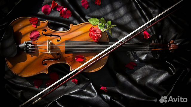 Репетитор по скрипке и сольфеджио