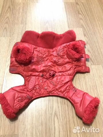 Одежда для собак