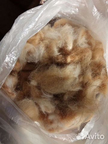 Собачья шерсть пух, 1,700гр