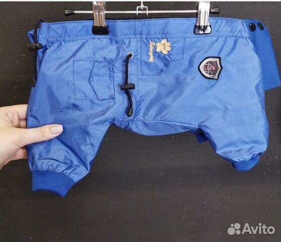 Одежда для собаки, дождевик