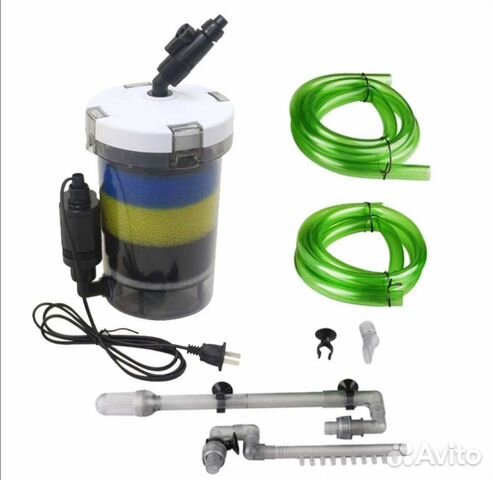 Креветки. Фильтр внешний. Аквариум