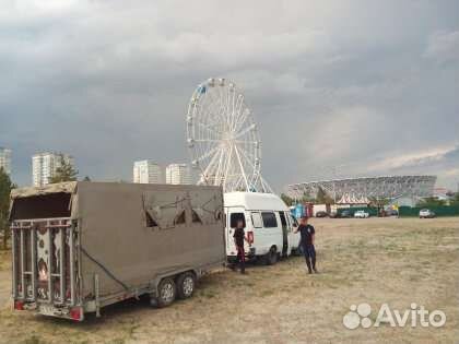 Перевозка животных,лошадей,жеребят и крс