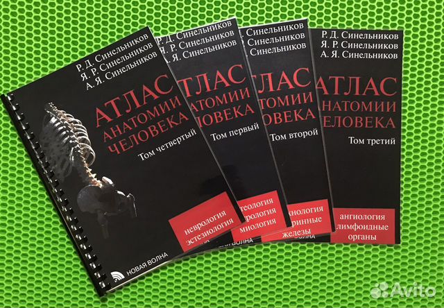 Атлас анатомии Синельников