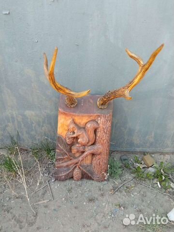 Рога горного козла