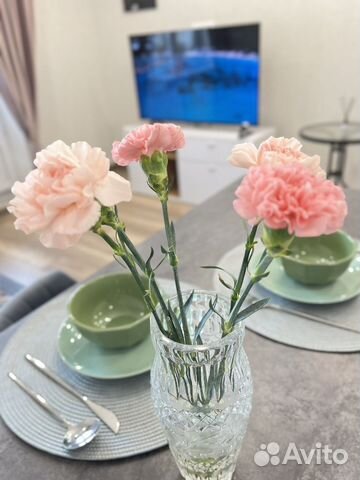 

Квартира-студия, 24,5 м², 23/24 эт.