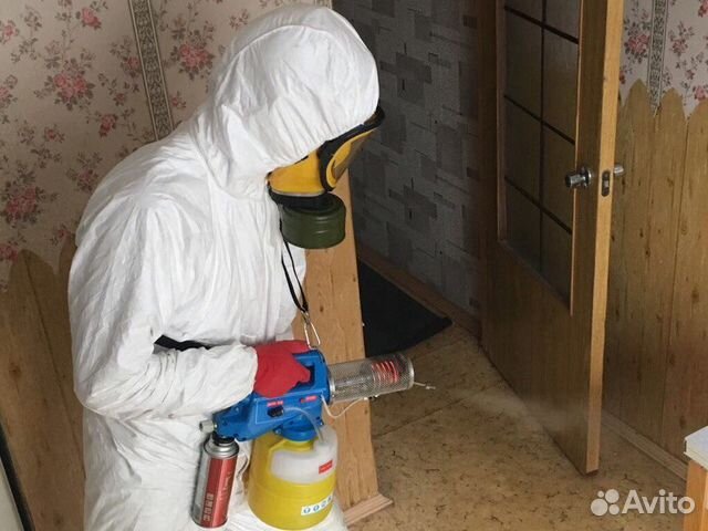 Дезинфекция клопов и тараканов Дезинфекция клопов и тараканов