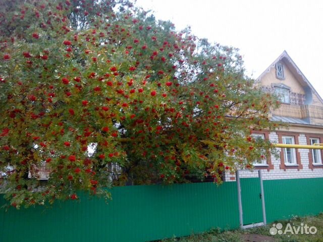 Дом 81 м² на участке 35 сот. Дом 81 м² на участке 35 сот.