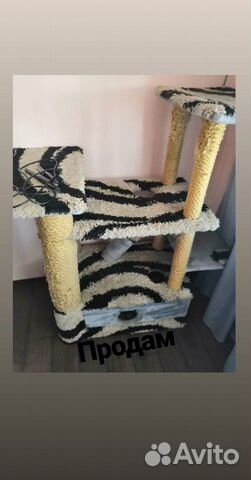 Для котят и кошек дом Для котят и кошек дом