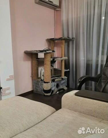 Для котят и кошек дом Для котят и кошек дом