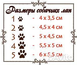 Одежда и обувь для собак купить на Зозу.ру - фотография № 8