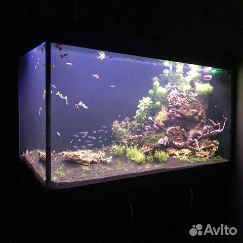 Аквариумы под ключ