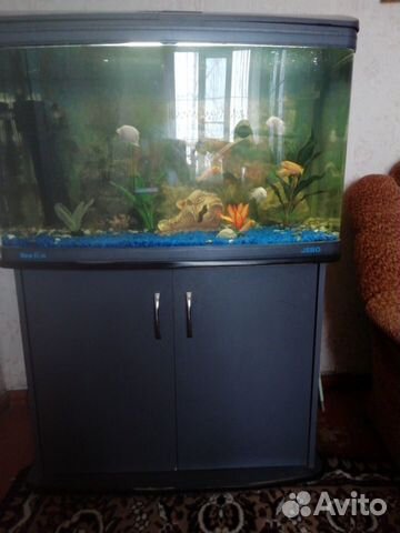 Продам аквариум 160 литров купить на Зозу.ру - фотография № 2