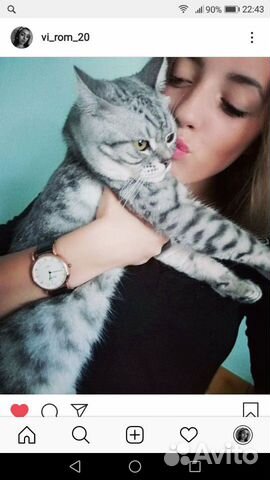 Для вязки британский кот не б/у купить на Зозу.ру - фотография № 2