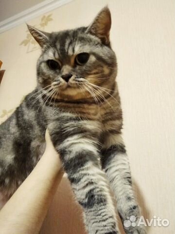 Вязка Вязка