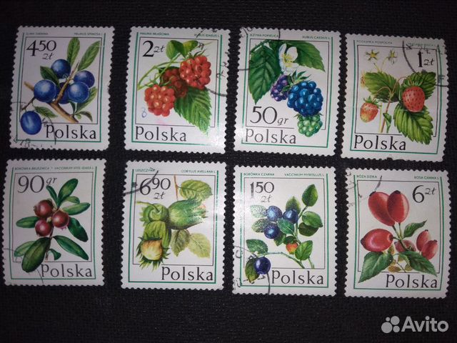 Марки Польша 1977 ягоды (набор)