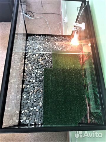 Террариум для красноухой черепахи