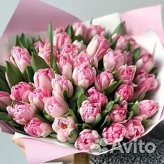 Тюльпаны из теплицы Тюльпаны из теплицы