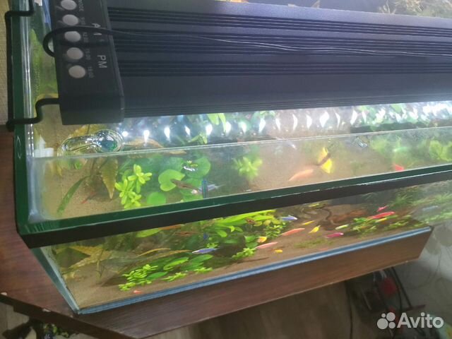 Свет В аквариум nicrew 76-96 см купить на Зозу.ру - фотография № 1