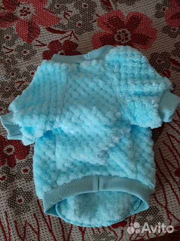 Одежда для собак