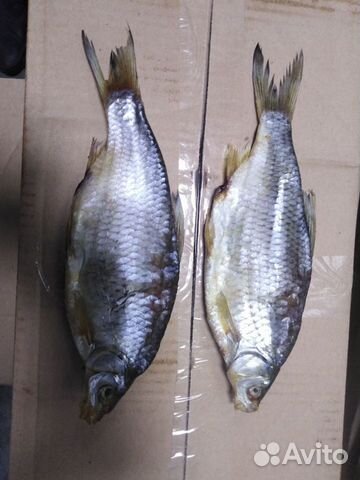 Вяленая рыба оптом и в розницу