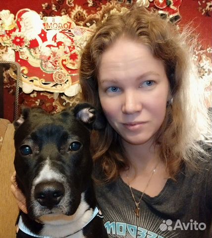 Передержка собак,без клеток и стресса