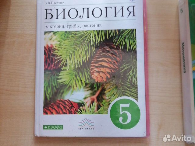 Учебники 5 класс