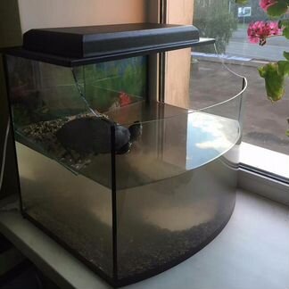 Террариумы для всех видов рептилий