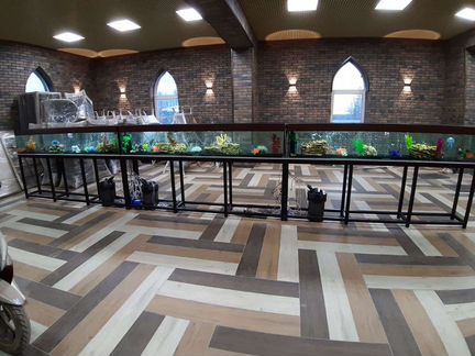 Обслуживание(чистка) аквариумов, установка, переус