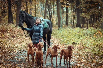 Щенки венгерской выжлы, питомник
