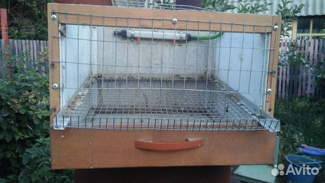 Клетка для перепелок